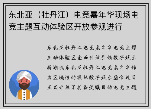 东北亚（牡丹江）电竞嘉年华现场电竞主题互动体验区开放参观进行